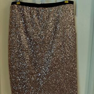 The Limited Sequin Skirt, size M